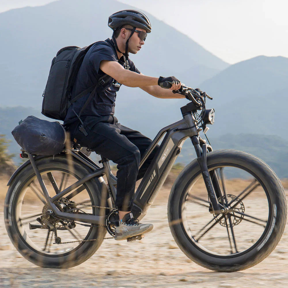 Fiido Titan Robust Cargo Electric Bike Preorder