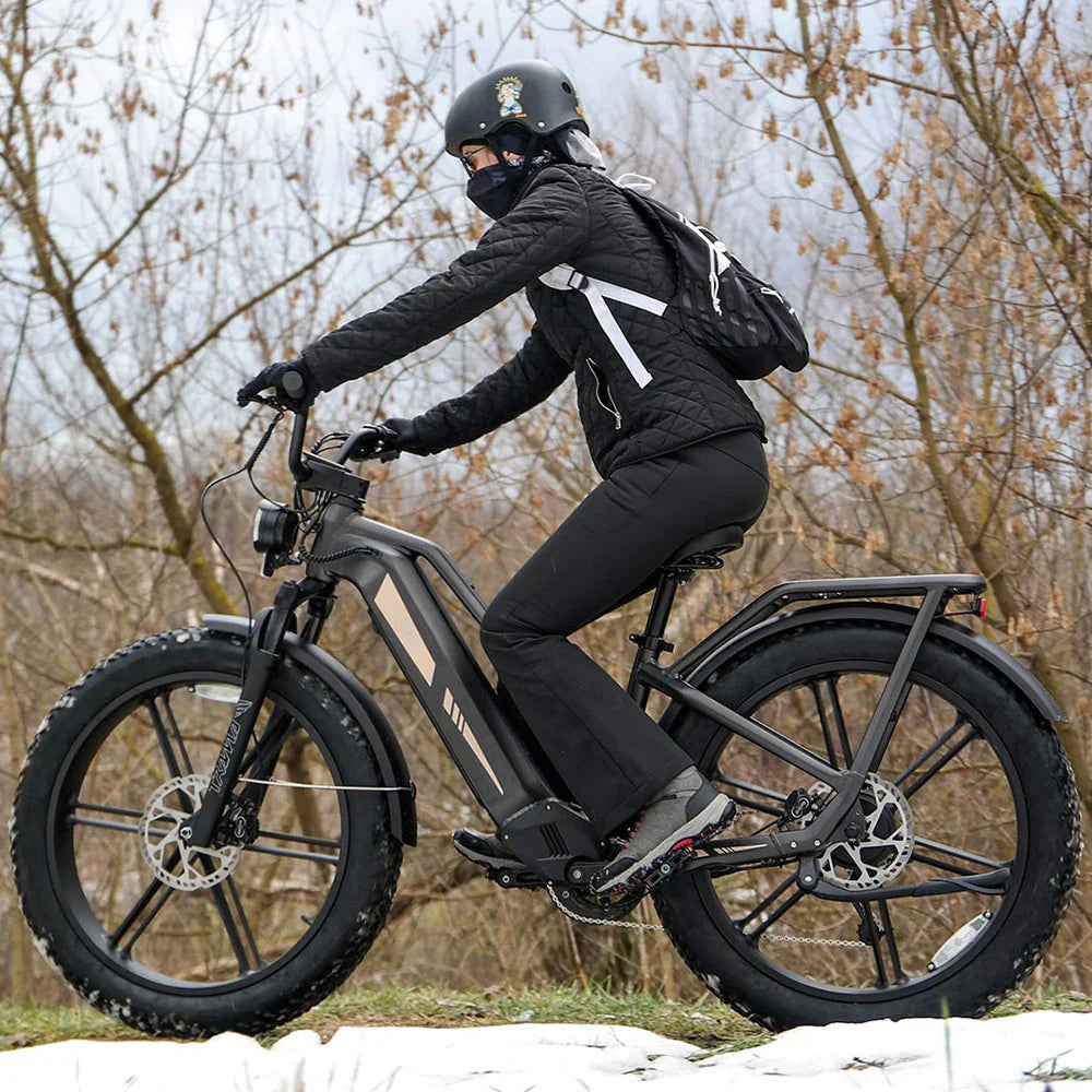 Fiido Titan Robust Cargo Electric Bike Preorder
