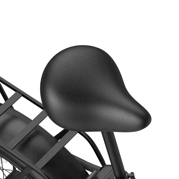 Fafrees FF20 Polar with Dual Batteries - Pogo Cycles available in cycle to work