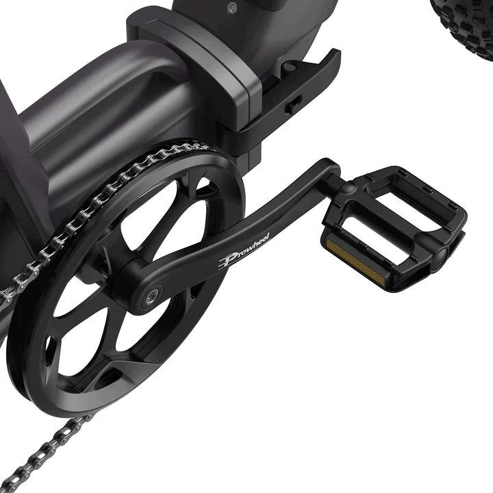 Fafrees FF20 Polar with Dual Batteries - Pogo Cycles available in cycle to work