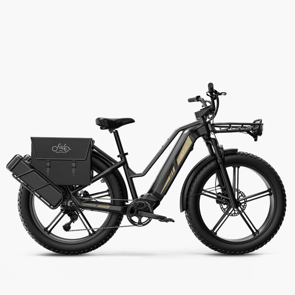 Fiido Titan Robust Cargo Electric Bike Preorder