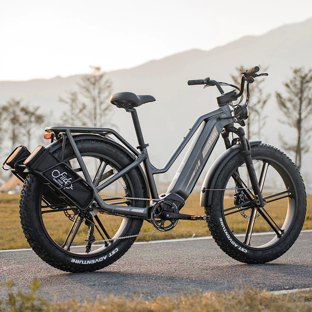 Fiido Titan Robust Cargo Electric Bike Preorder