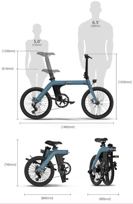 FIIDO D11 Electric Mountain Bike with mudguard and light - Pogo Cycles available in cycle to work